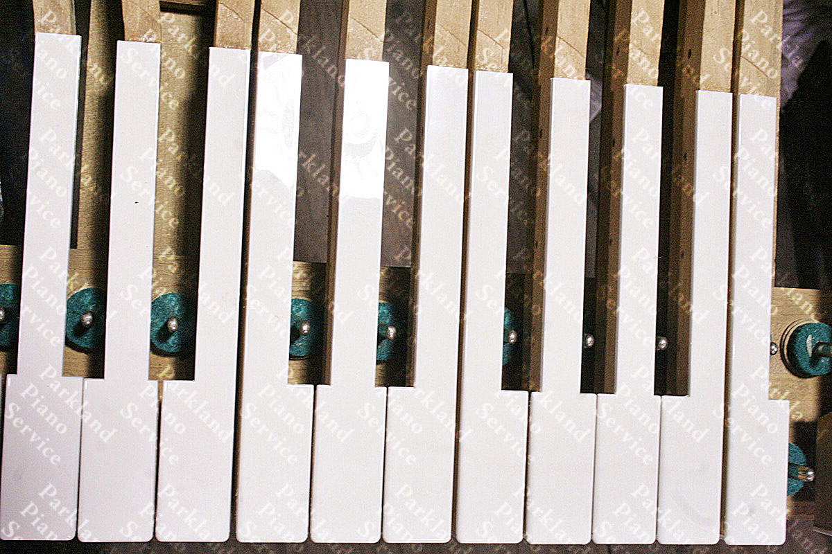 Piano keytops after replacement